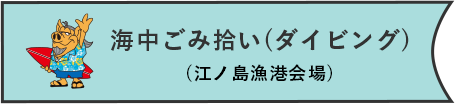 海中ごみ拾い